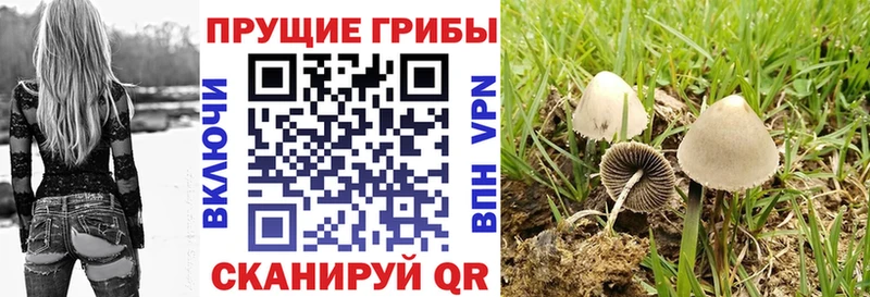 Псилоцибиновые грибы Magic Shrooms  Новосибирск 